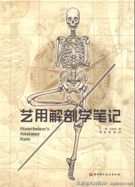 石政贤美术艺用解剖学笔记PDF中文电子版百度云